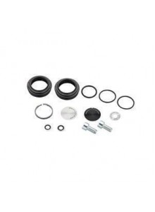 00.4315.032.560 - ROCKSHOX AM SVC KIT PARG SILVER Množ. Uni