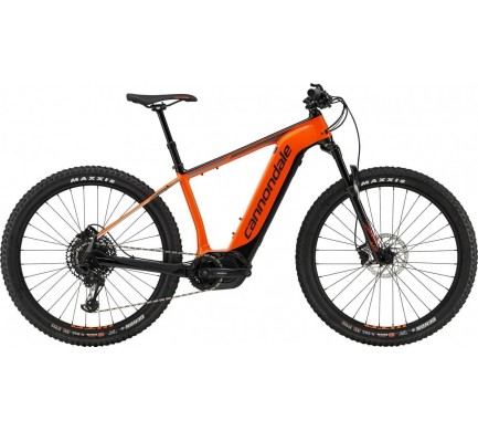 19 C-DALE CUJO NEO 1 (C61159M70/ORG) M
