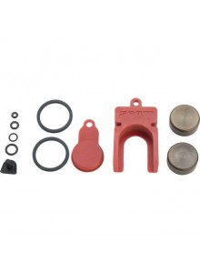 11.5018.020.005 - SRAM CALIPER PISTON KIT 2 PISTON 21MM AL MONO Množ. Uni