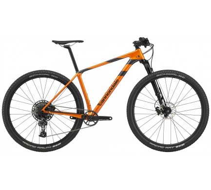20 C-DALE F-Si 29" CARBON 4 (C25400M20/CRU) M
