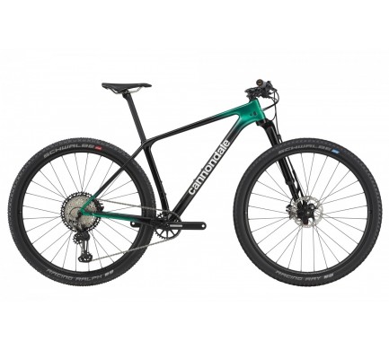 21 C-DALE F-Si 29" HM 1 (C25201M10/REP) M