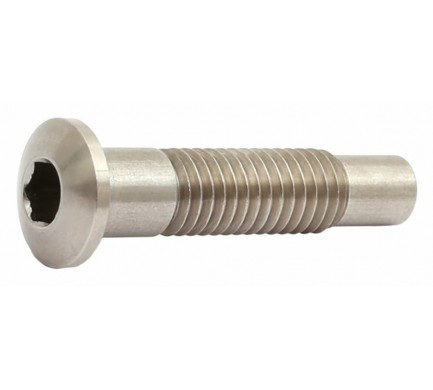 Čep motoru STePS E8000 M8x39,5 mm imbus Čep motoru STePS E8000 M8x39,5 mm imbus