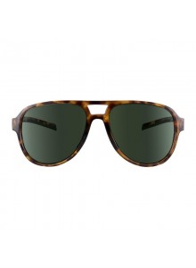 Brýle sluneční TSG Cruise Sunglasses Brown