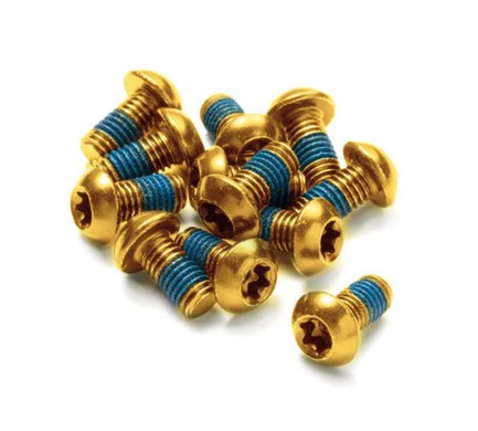 Šrouby na kotouče Reverse Steel M5 x 10 mm, Torx 25, 12 ks zlaté