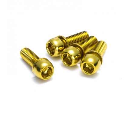 Šrouby uchycení brzdy Reverse M6 x 18 mm, 4 ks zlaté