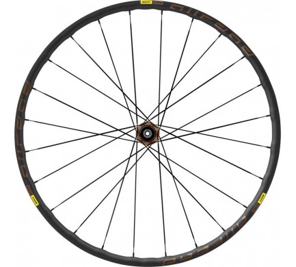 19 MAVIC Allroad Elite Disc CL Road+ Zadní (R2868155) Množ. Uni