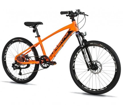 CAPITAN CHLAPECKÝ, MTB 24", M:2025-4     KOLA NA PRODEJ
