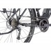 Trekingový elektrobicykel Leader Fox LUCAS dámsky, 2020-1 16,5" čierna matná/sivá
