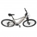 Horský elektrobicykel Leader Fox ALTAR 29", 2021-2 19,5" strieborná
