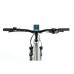 Horský elektrobicykel Leader Fox ALTAR 29", 2021-2 19,5" strieborná