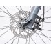 MTB XC bicykel Author Rival 29" 2023 19" sivá-matná/limeta
