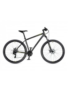 MTB XC bicykel Author Rival 29" 2023 17" sivá-matná/limeta